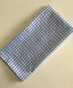 Light Blue and White Check Serviettes