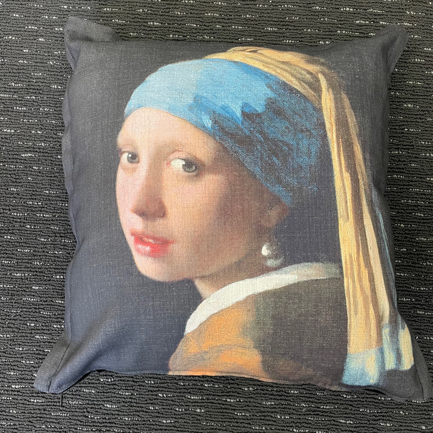 Girl with a Pearl Scatter Cushions